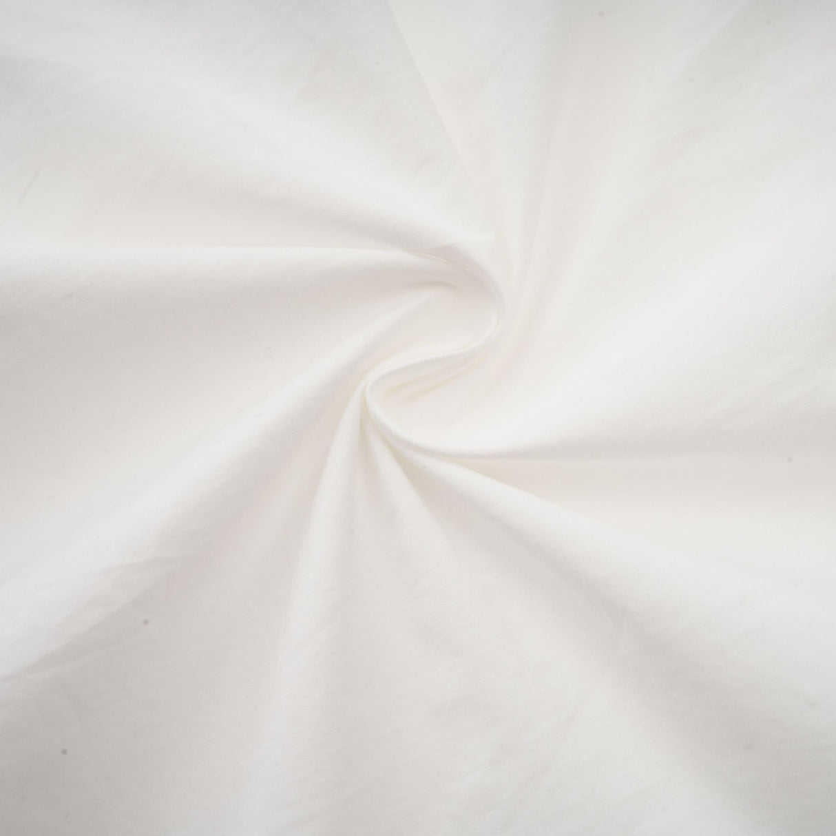 Adelaide Shirt - Lapel - Long Sleeves - 3D - Floral Embellishment - Cut - Out Design