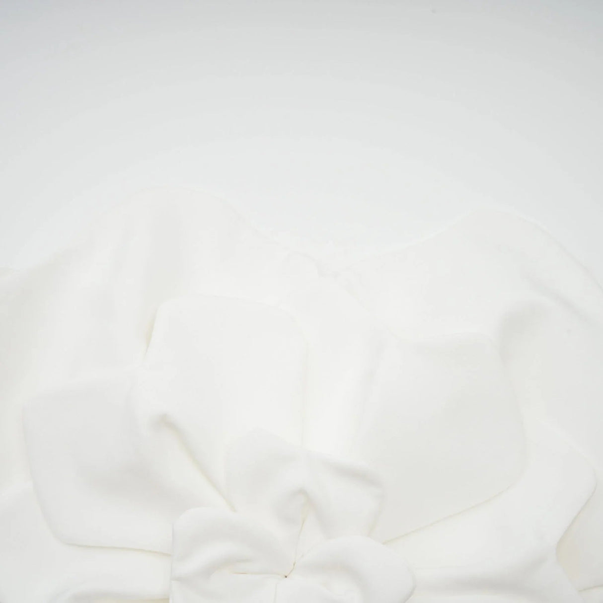 Adrianna Floral Top - Off the Shoulder Design - Sleeveless - Floral Appliqu Detailing - Cropped Length