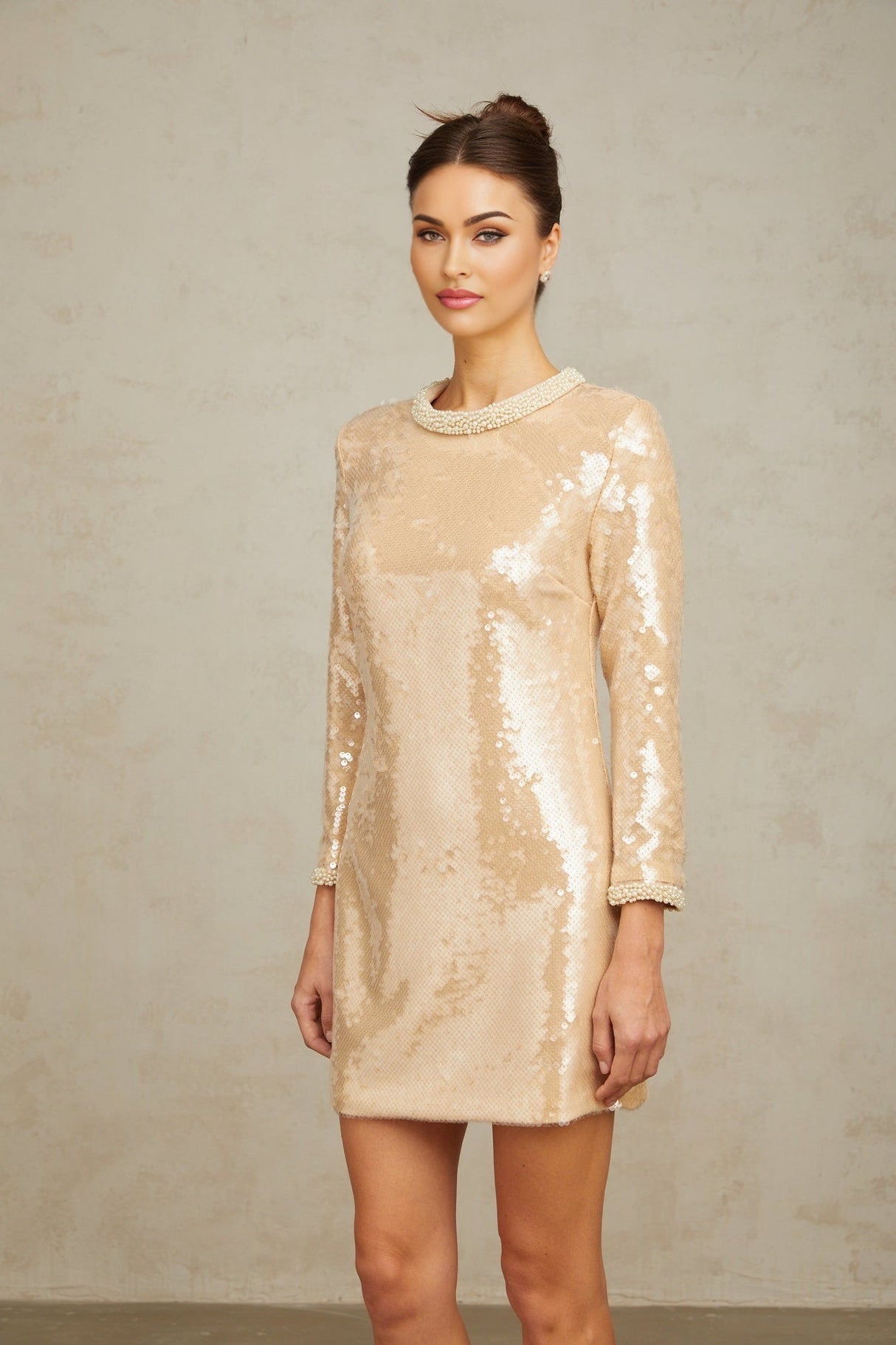 Agnolina Mini Dress – Crew Neck – Long Sleeves – Sequin Embellishment