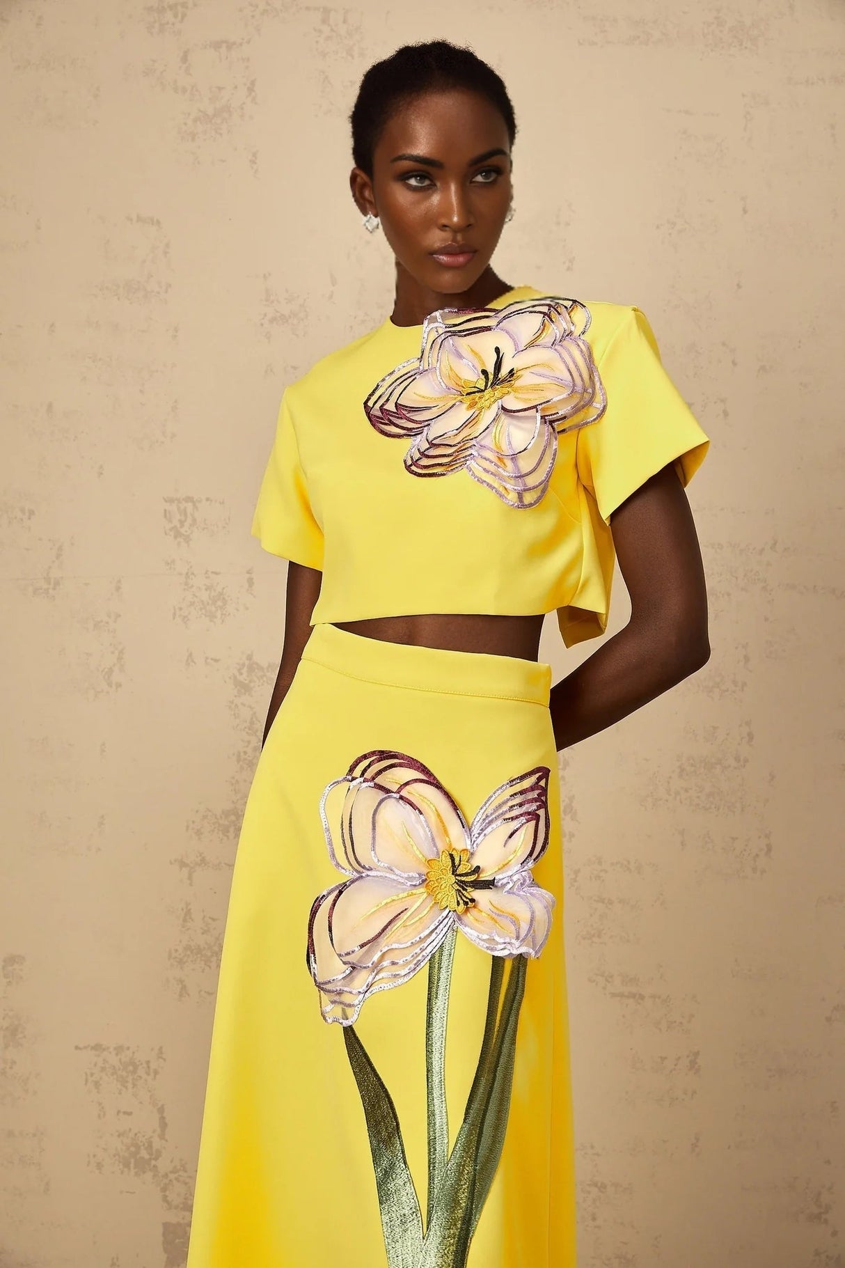 Alexa Floral Appliqué Top & Skirt Set in Yellow