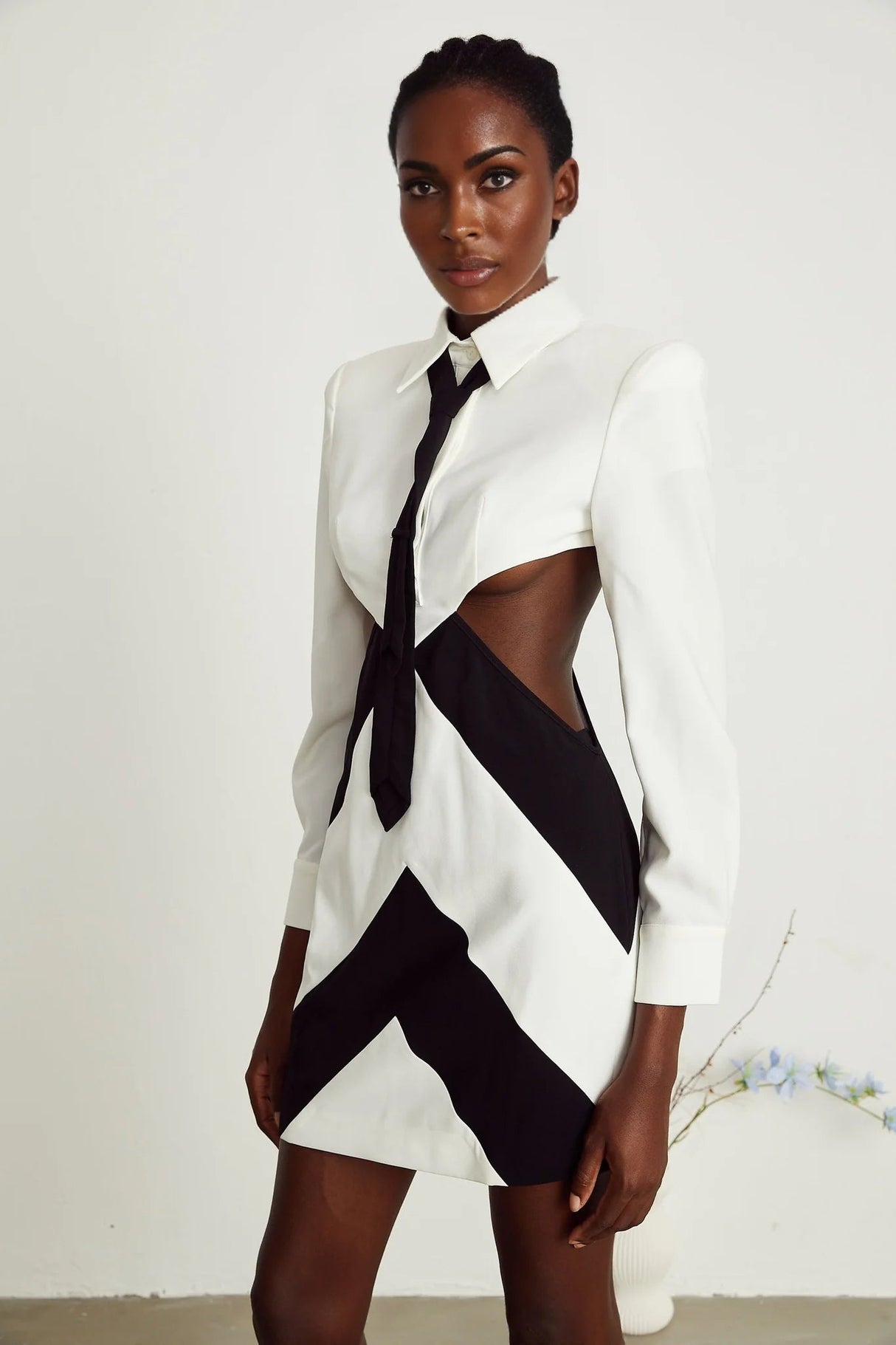 Alexis Mini Dress Cut - out White & Black