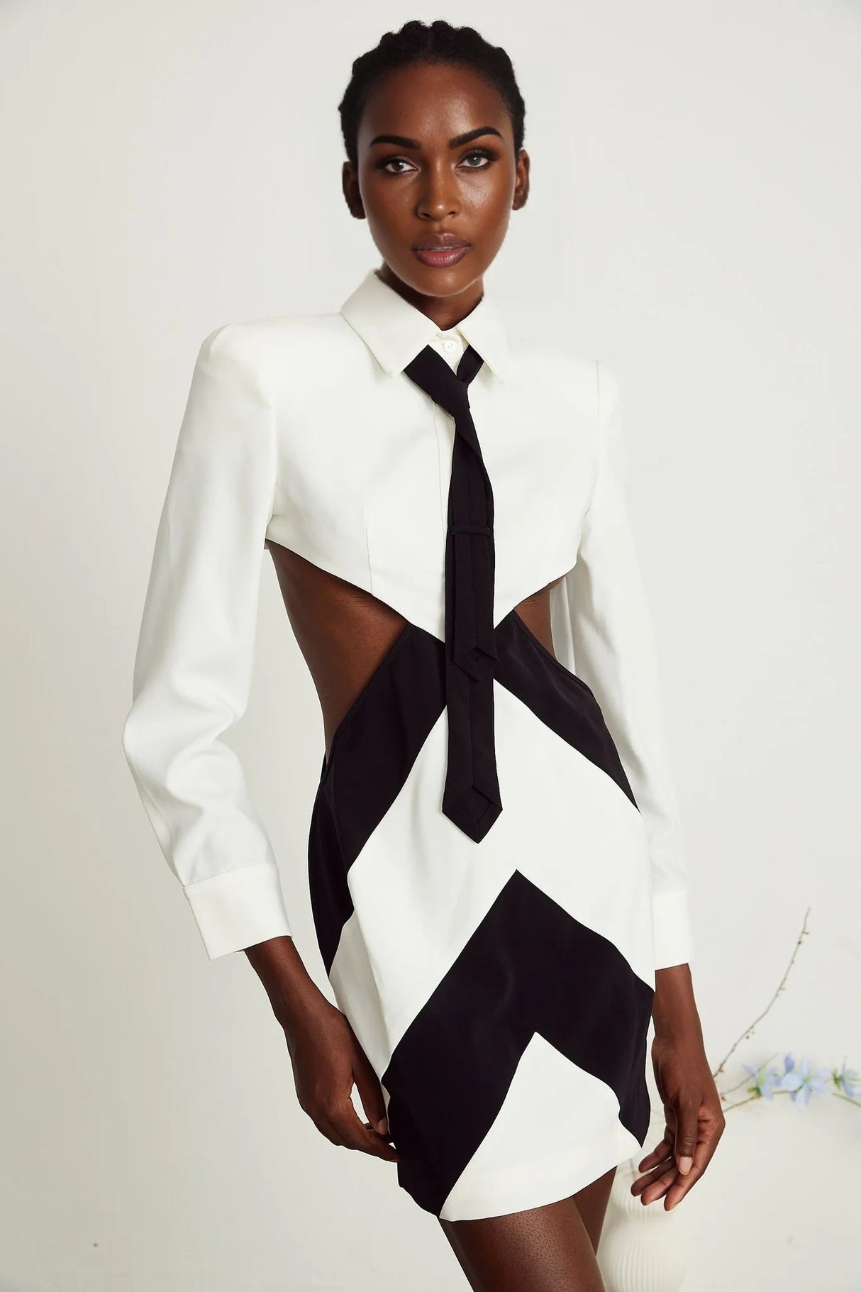 Alexis Mini Dress Cut - out White & Black
