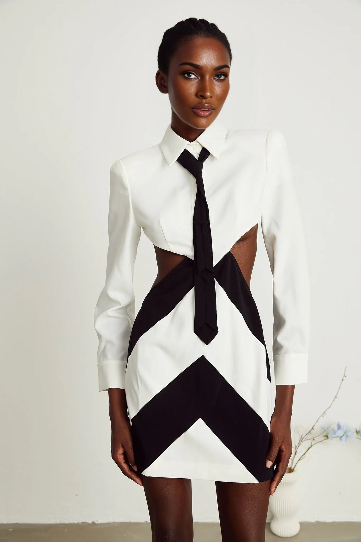 Alexis Mini Dress Cut - out White & Black