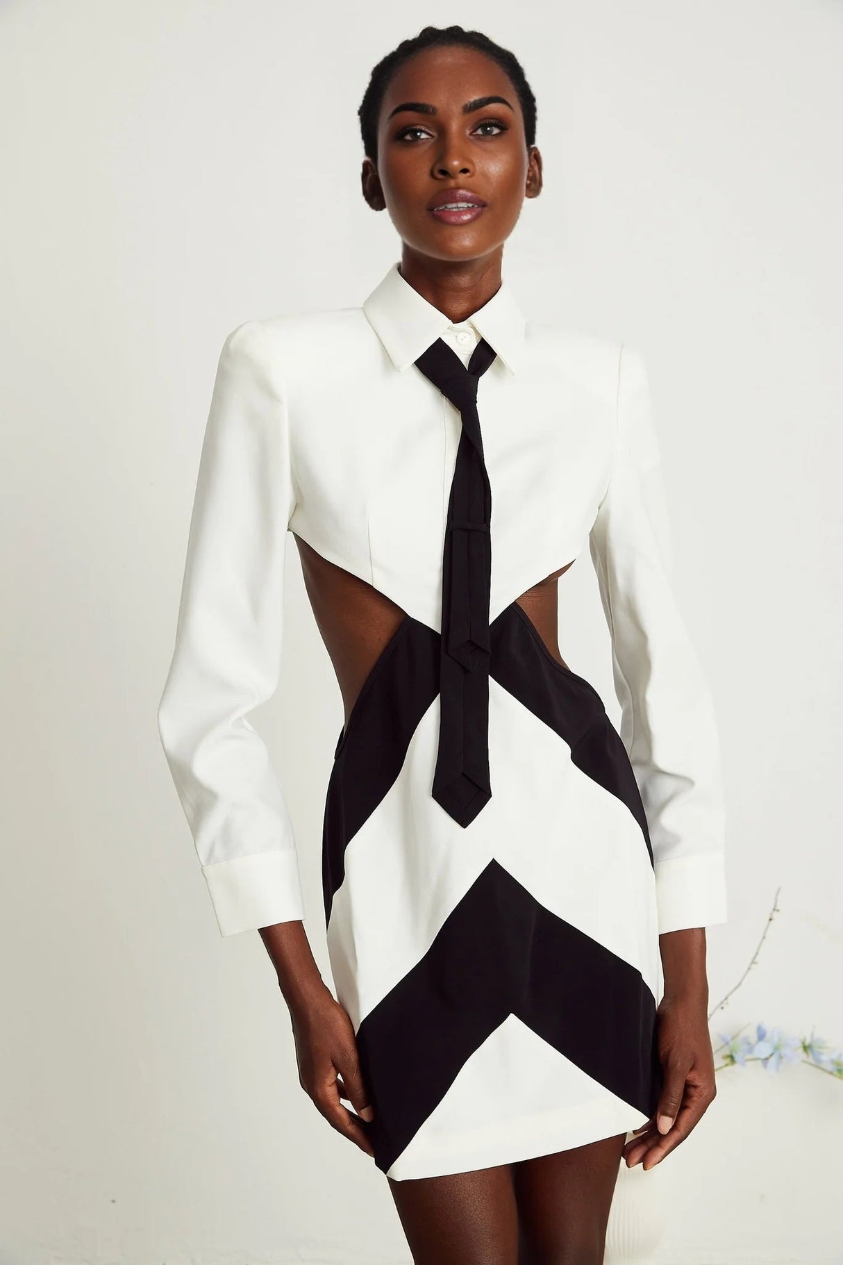 Alexis Mini Dress Cut - out White & Black