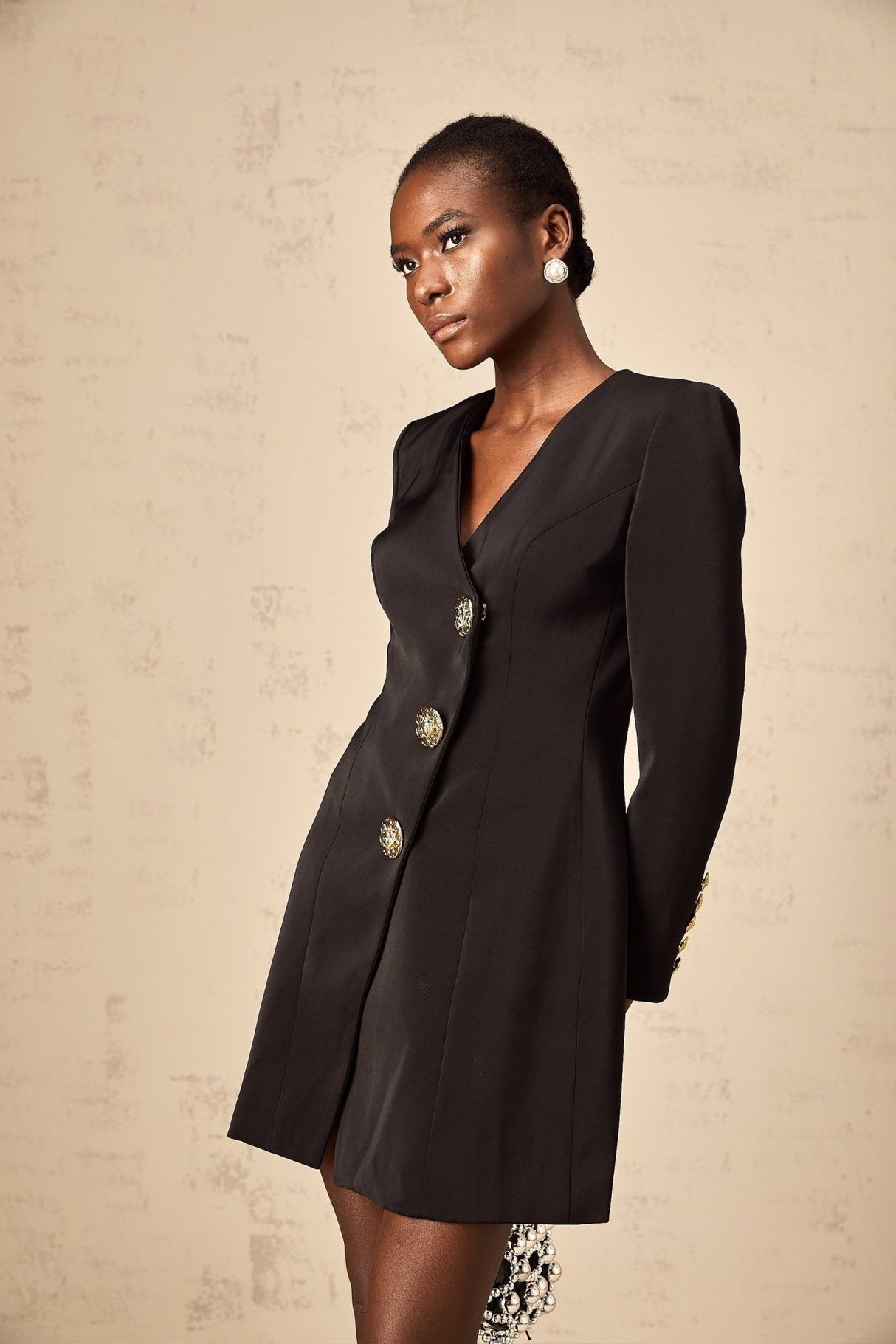 Camryn Mini Dress - V - Neck - Long Sleeves - Lion Head Motif