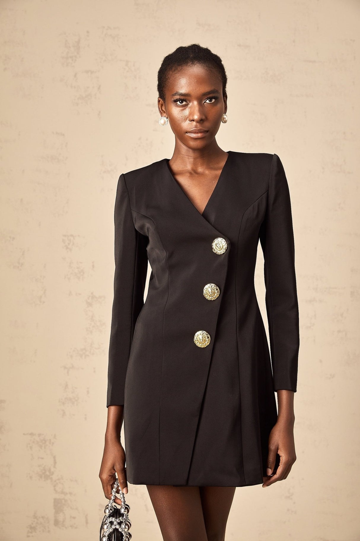 Camryn Mini Dress - V - Neck - Long Sleeves - Lion Head Motif