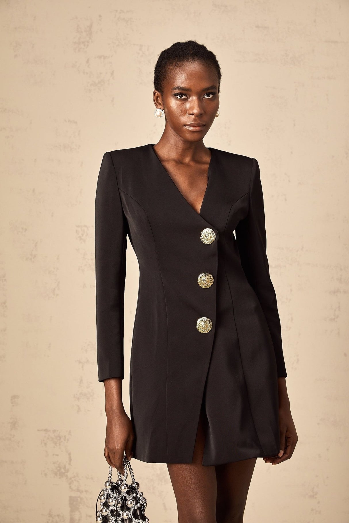 Camryn Mini Dress - V - Neck - Long Sleeves - Lion Head Motif