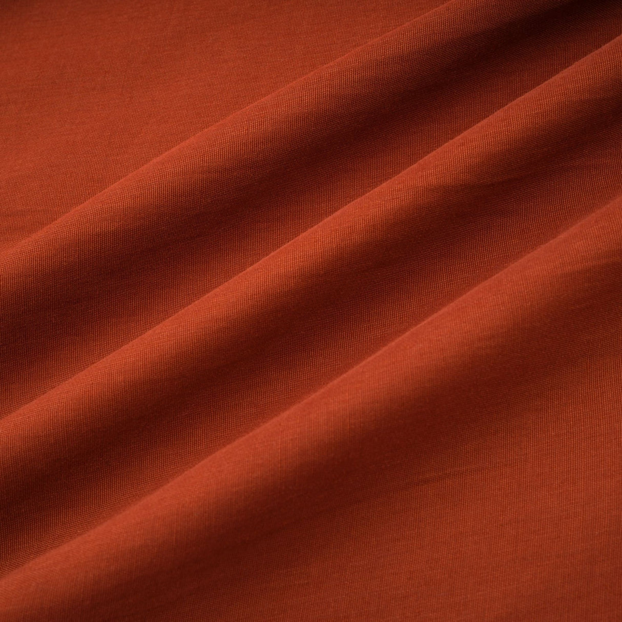 Carmelina Midi Dress - Frilled self - tie neck - Short sleeves - Shift style - Asymmetric hem