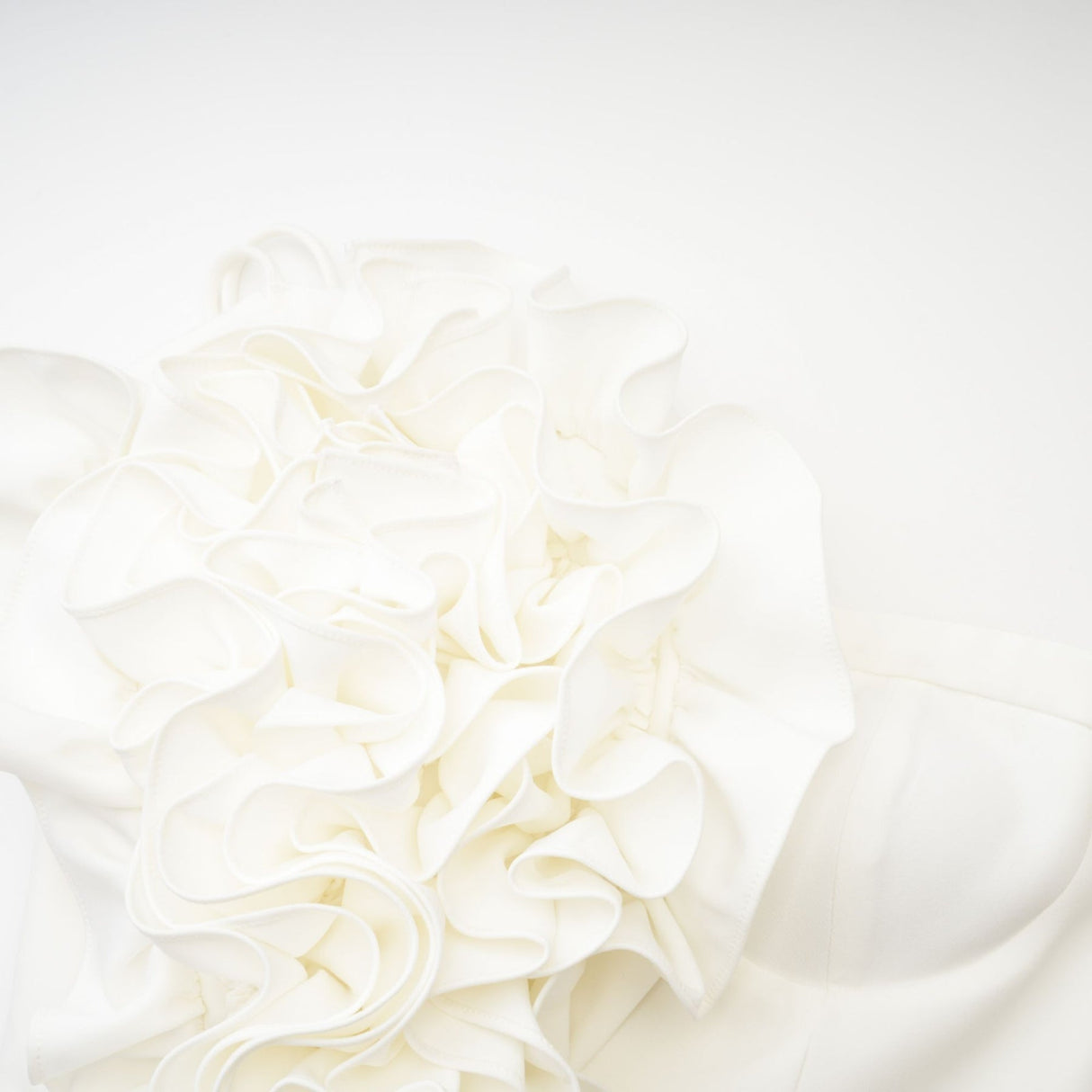 Caterina Floral Top - Off - the - shoulder Style - Sleeveless Design - Floral Applique Detailing - Rear Zip Fastening