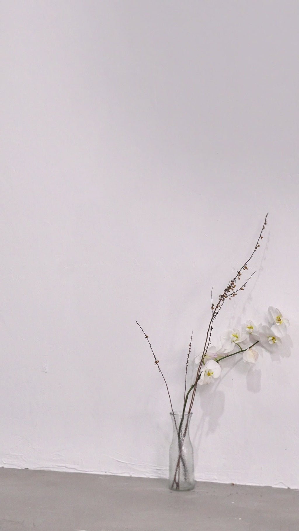 Chiara Bodysuit - Mock Neck - Cut - Out Design - Bodycon Fit - Long Sleeves