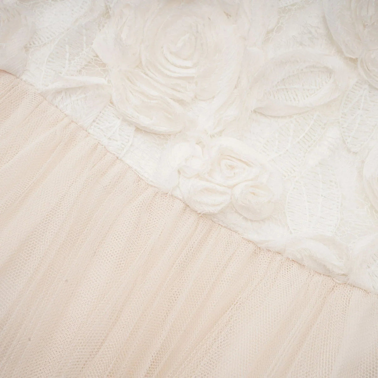 Colomba Midi Dress – Tulle Panels – Floral Appliqué – Fully Pleated