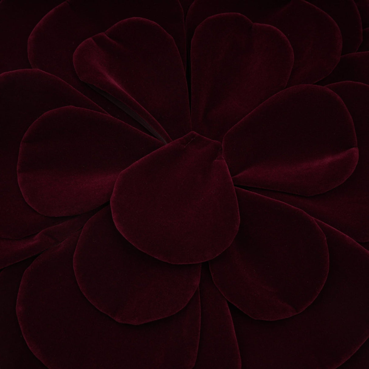 Daphne Mini Dress - Off - the - Shoulder Design - Long Sleeve Floral Appliqu - Thigh Length Straight Hem