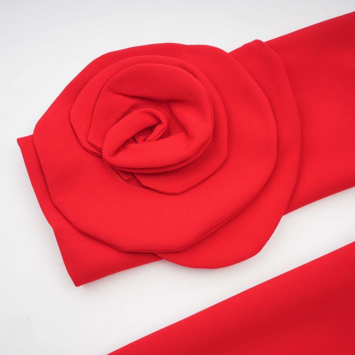 Dayana Long Dress - Floral Appliqué - Flared Skirt - Round Neck - Long Sleeves