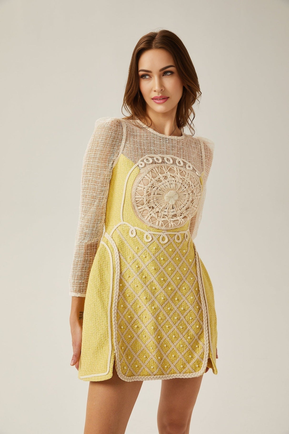 Diana Mini Dress - Faux - Pearl Embellishment - Semi - Sheer Construction - Long Sleeves - A - Line Silhouette - Rear Zip Fastening