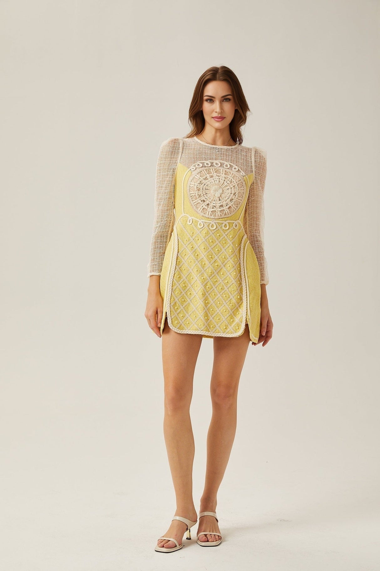 Diana Mini Dress - Faux - Pearl Embellishment - Semi - Sheer Construction - Long Sleeves - A - Line Silhouette - Rear Zip Fastening