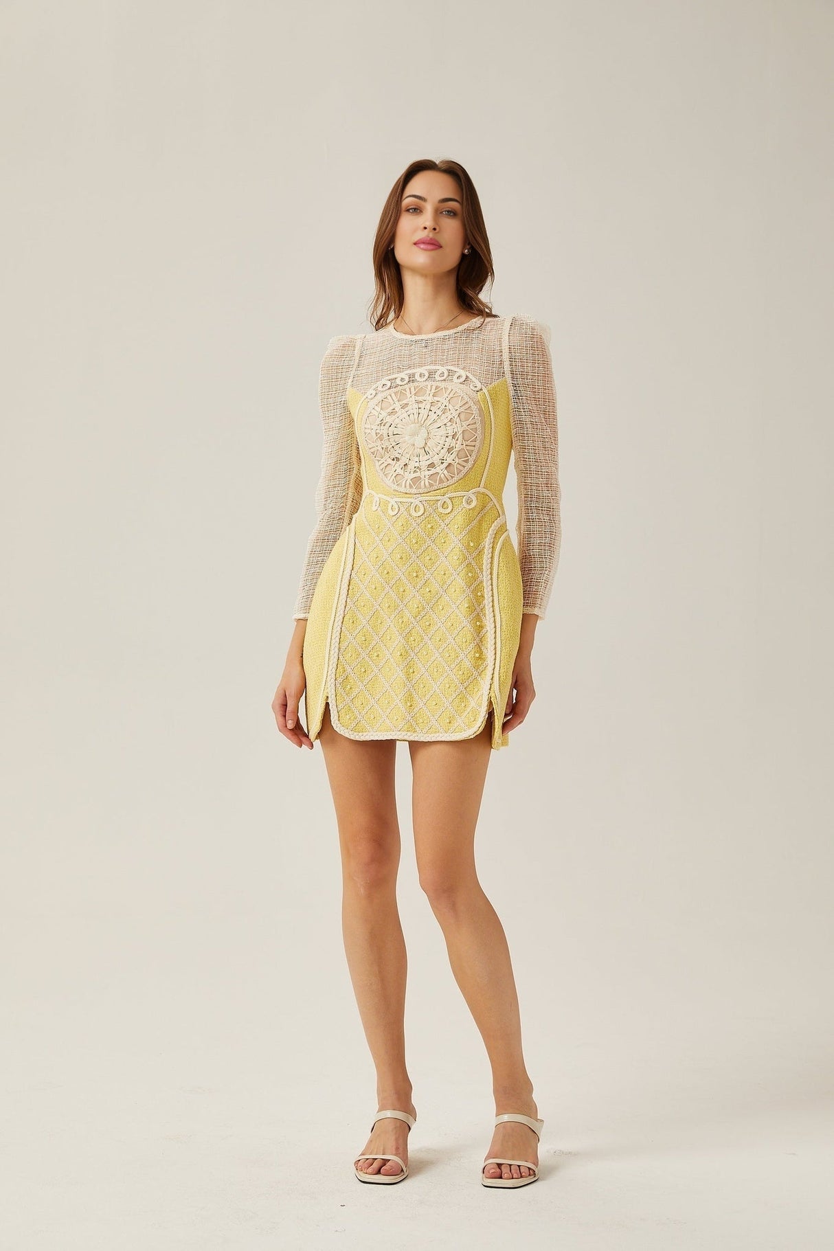 Diana Mini Dress - Faux - Pearl Embellishment - Semi - Sheer Construction - Long Sleeves - A - Line Silhouette - Rear Zip Fastening