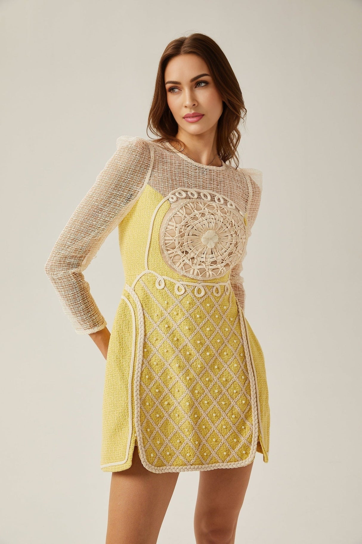 Diana Mini Dress - Faux - Pearl Embellishment - Semi - Sheer Construction - Long Sleeves - A - Line Silhouette - Rear Zip Fastening