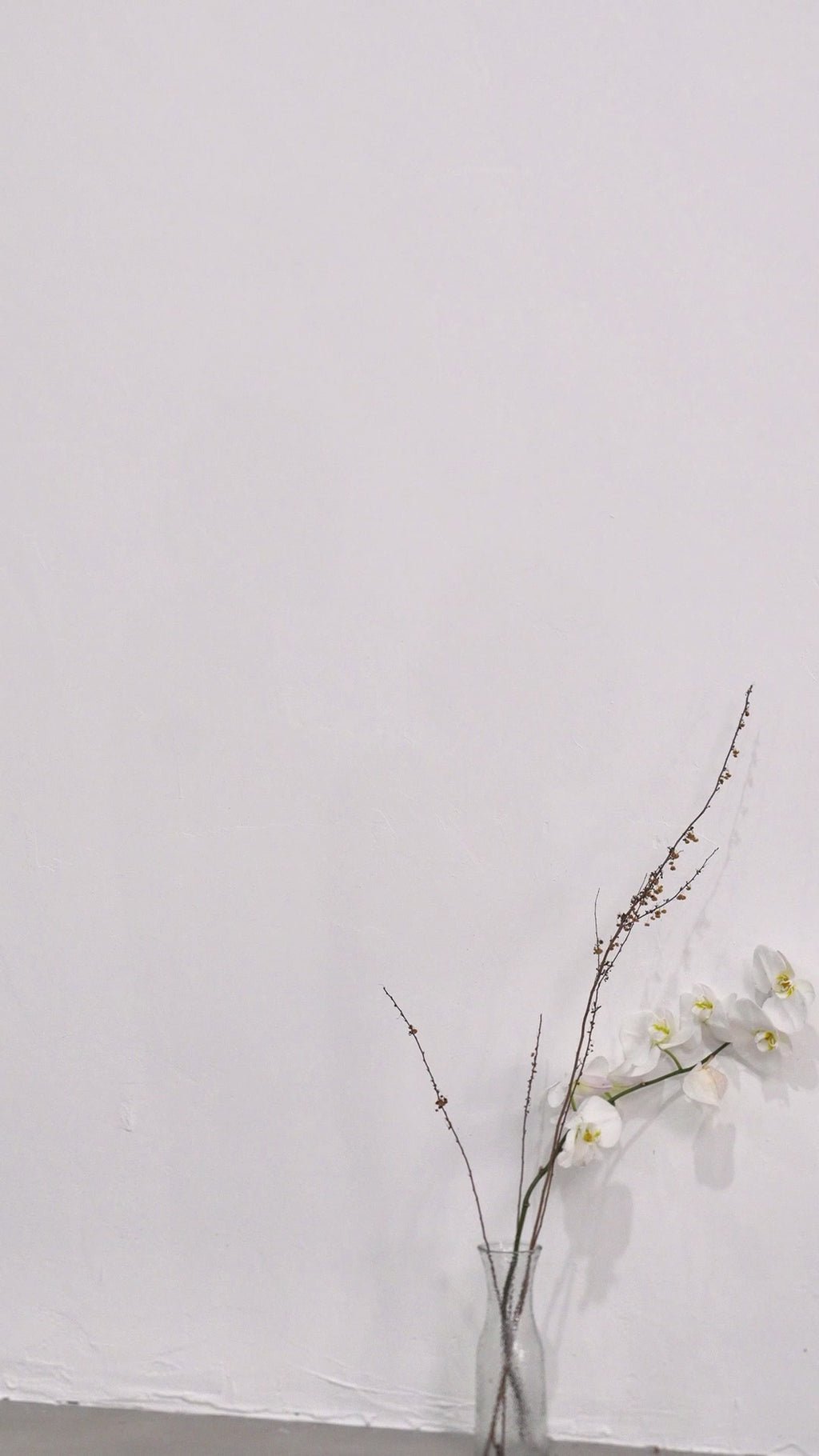 Elizabeth Bodysuit - Long Sleeves - High Neck - Pleats and Cut - Out Design - Gradient Effect