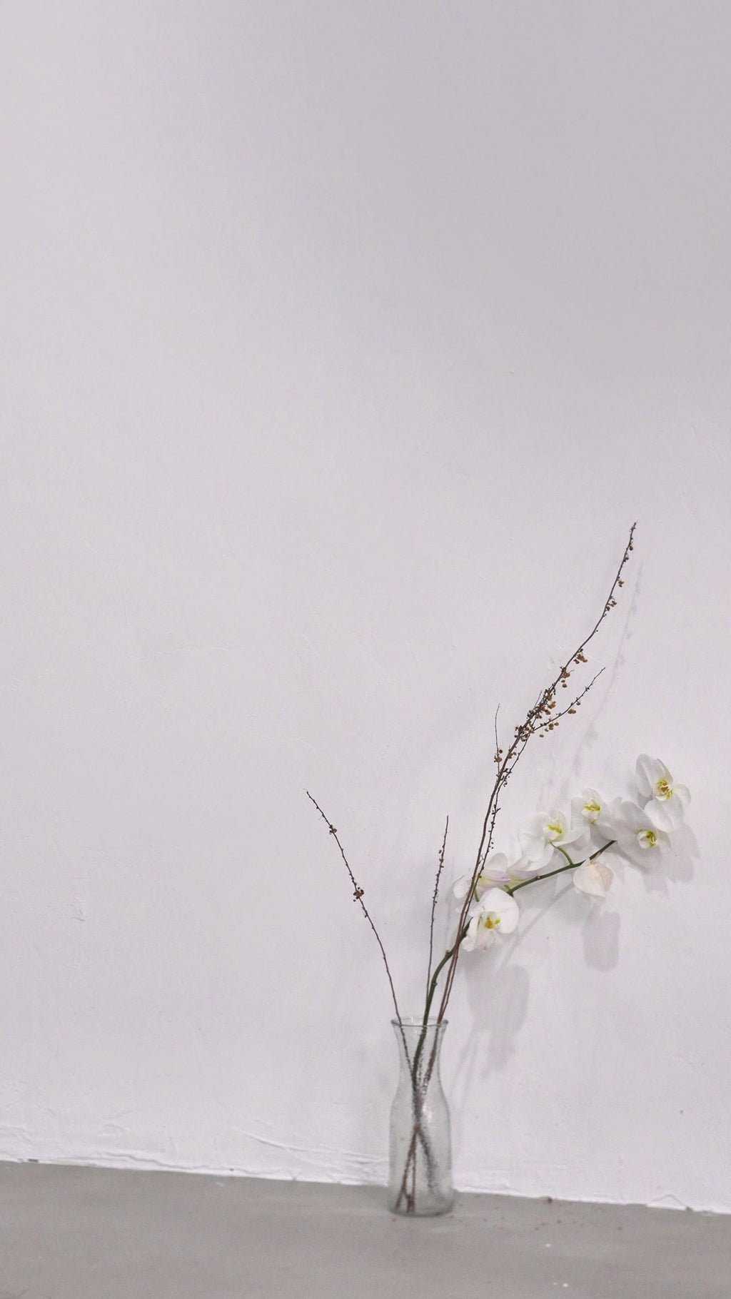 Emilia Bodysuit - Long Sleeve - Cut - Out Design - Double - Layer Construction - Semi - Sheer