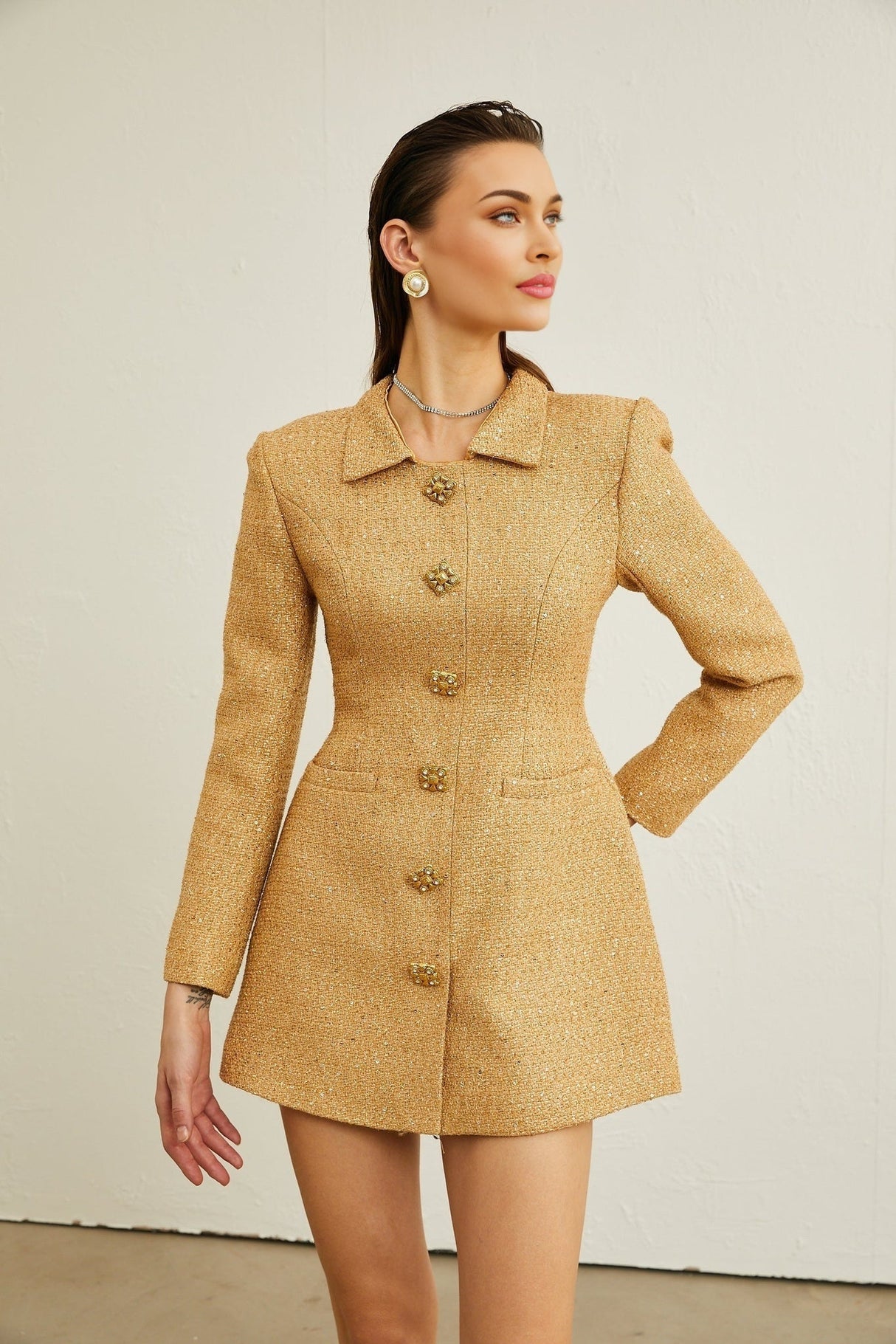 Franceschina Long Sleeve Mini Dress - Tweed - Classic Collar - Embossed Buttons - Front Pockets