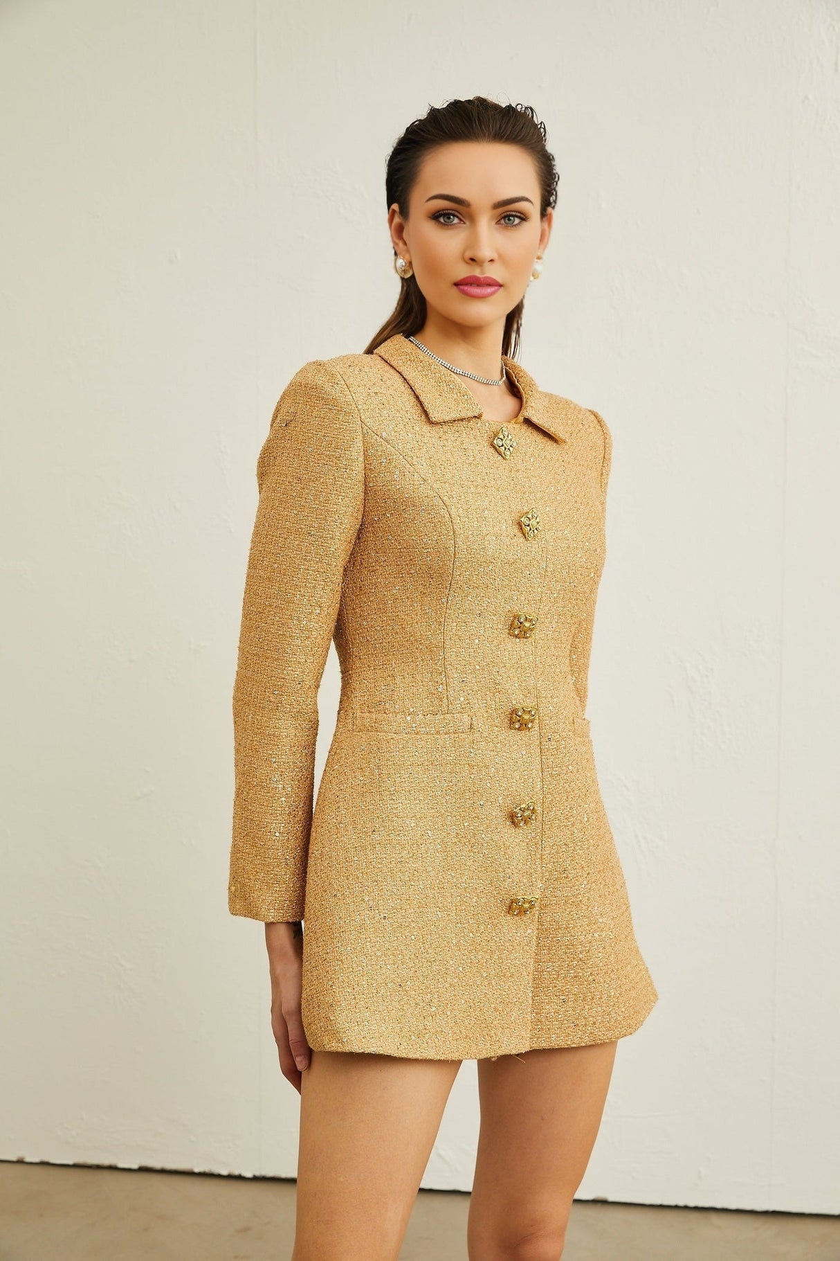 Franceschina Long Sleeve Mini Dress - Tweed - Classic Collar - Embossed Buttons - Front Pockets
