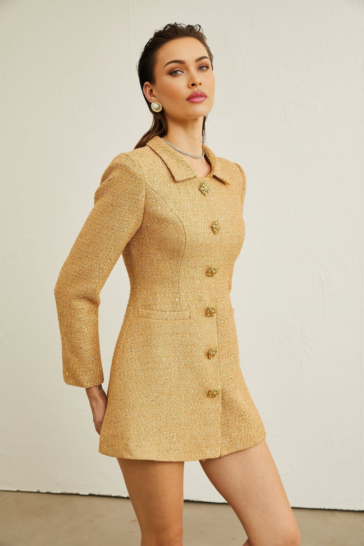 Franceschina Long Sleeve Mini Dress - Tweed - Classic Collar - Embossed Buttons - Front Pockets