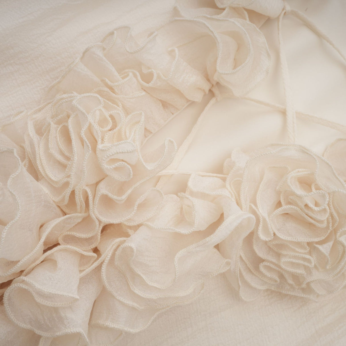 Holland Mini Dress – V - neck – Long Puff Sleeves – Floral Appliqué