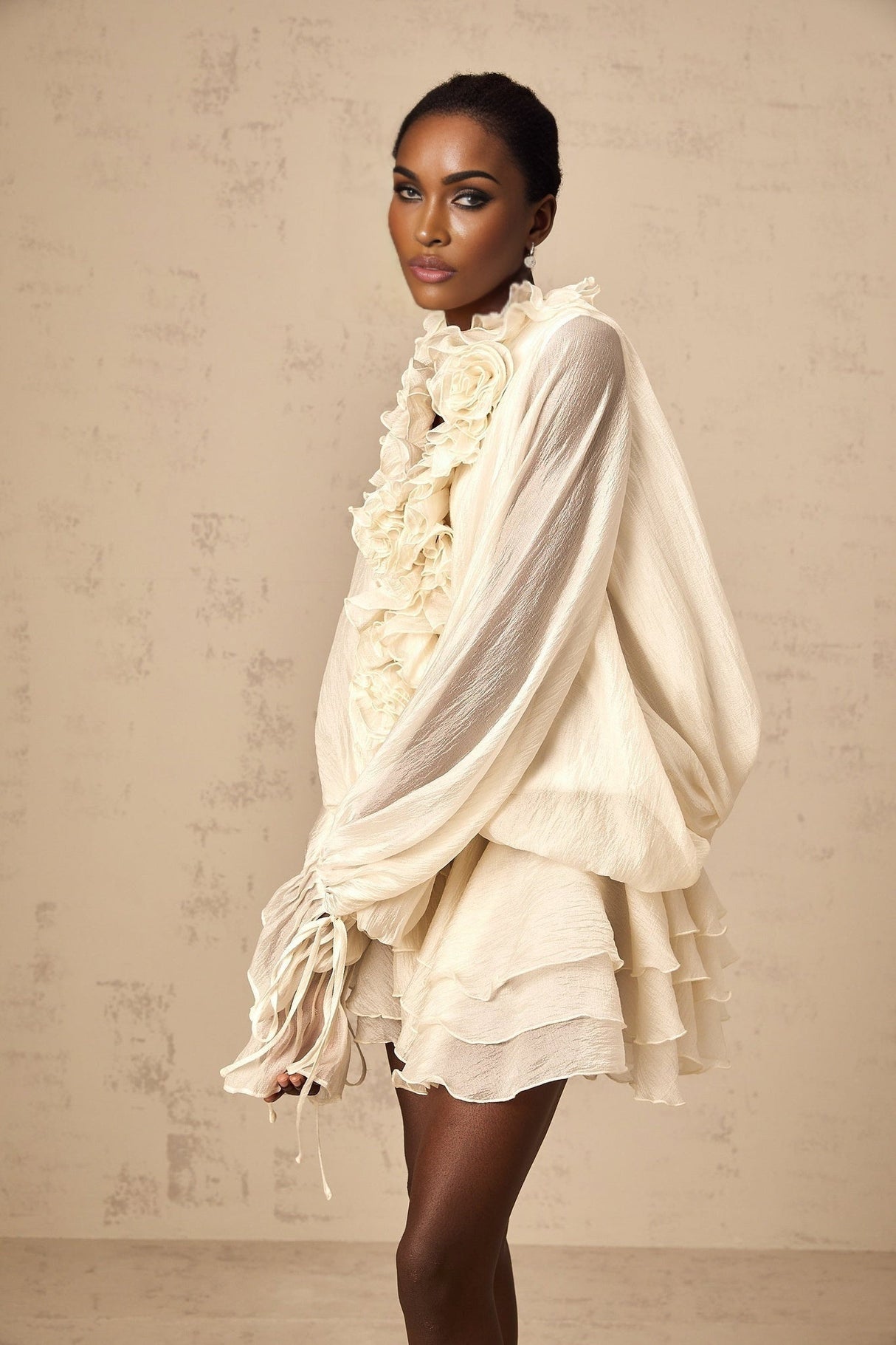 Holland Mini Dress – V - neck – Long Puff Sleeves – Floral Appliqué