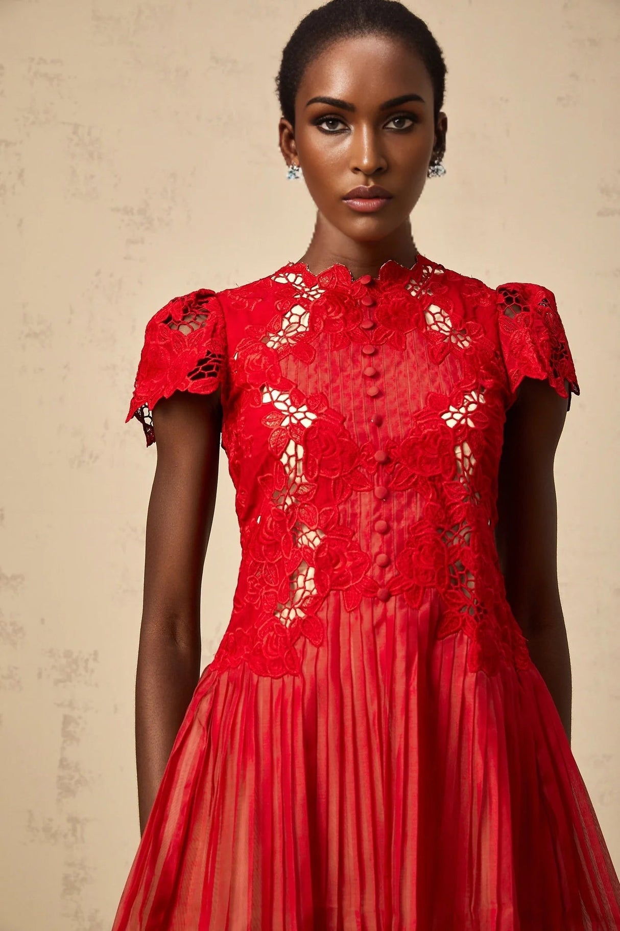 Holly Mini Dress Red Flower Embroidered & Pleated