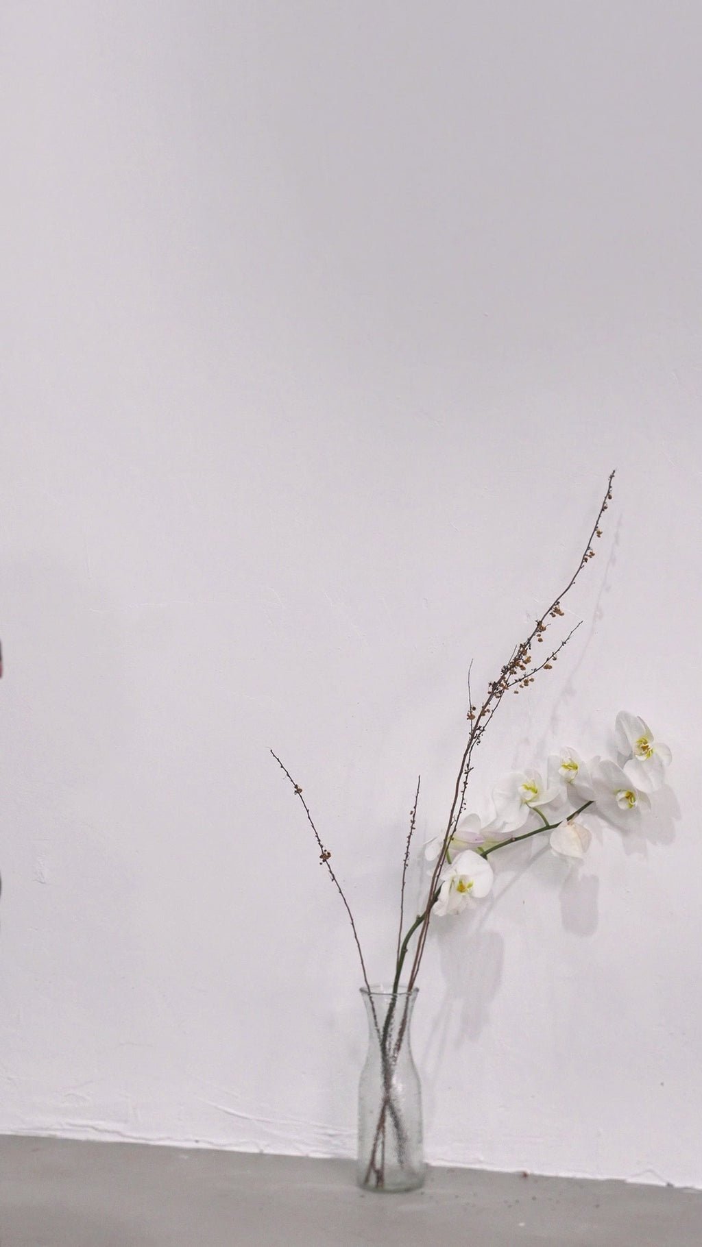 Laila Mini Dress with Asymmetrical Design