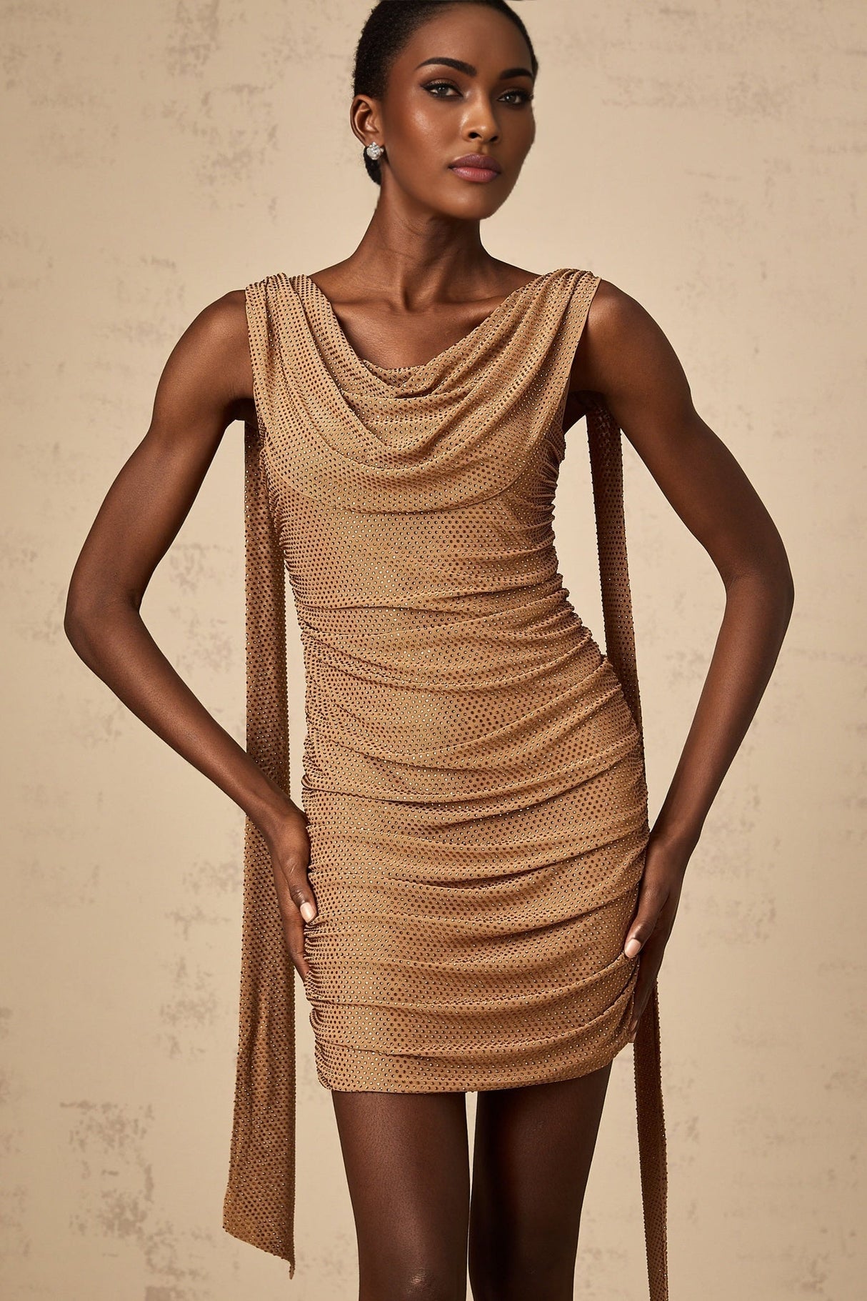 Lia Mini Dress Brown Rhinestone Ribbon Ruched Zip & Thigh Length