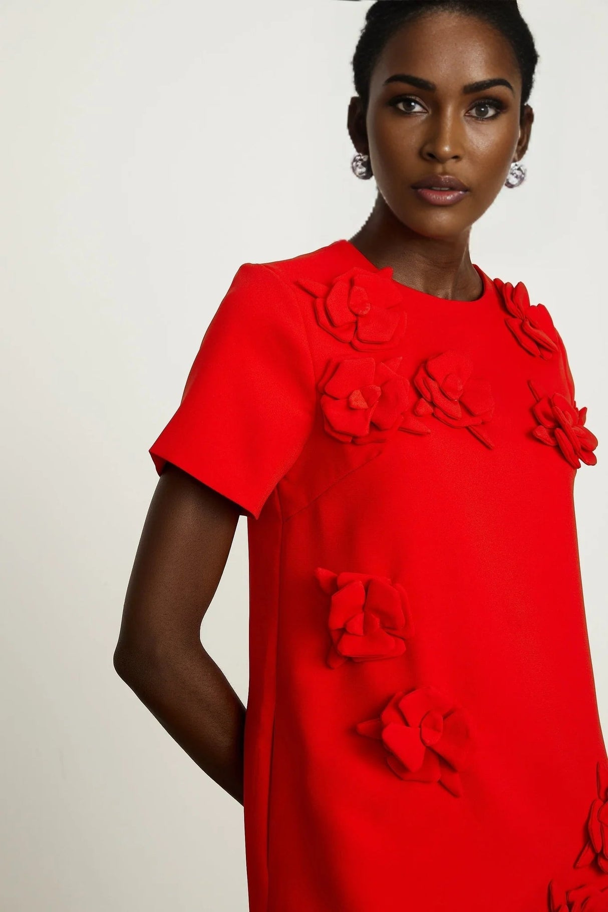 Mackenzie Mini Dress Red Floral Appliqu Short Sleeve Thigh Length