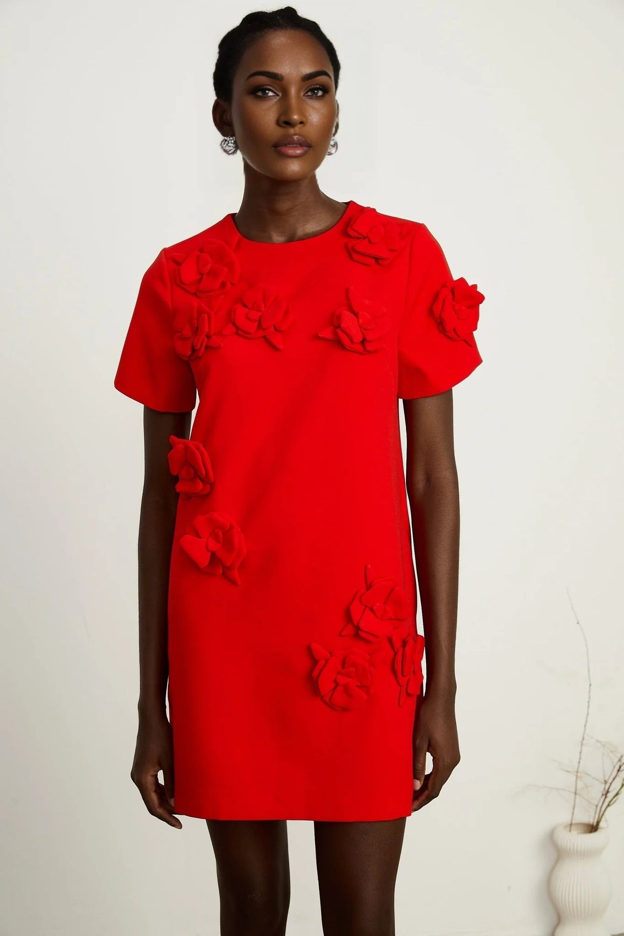 Mackenzie Mini Dress Red Floral Appliqu Short Sleeve Thigh Length