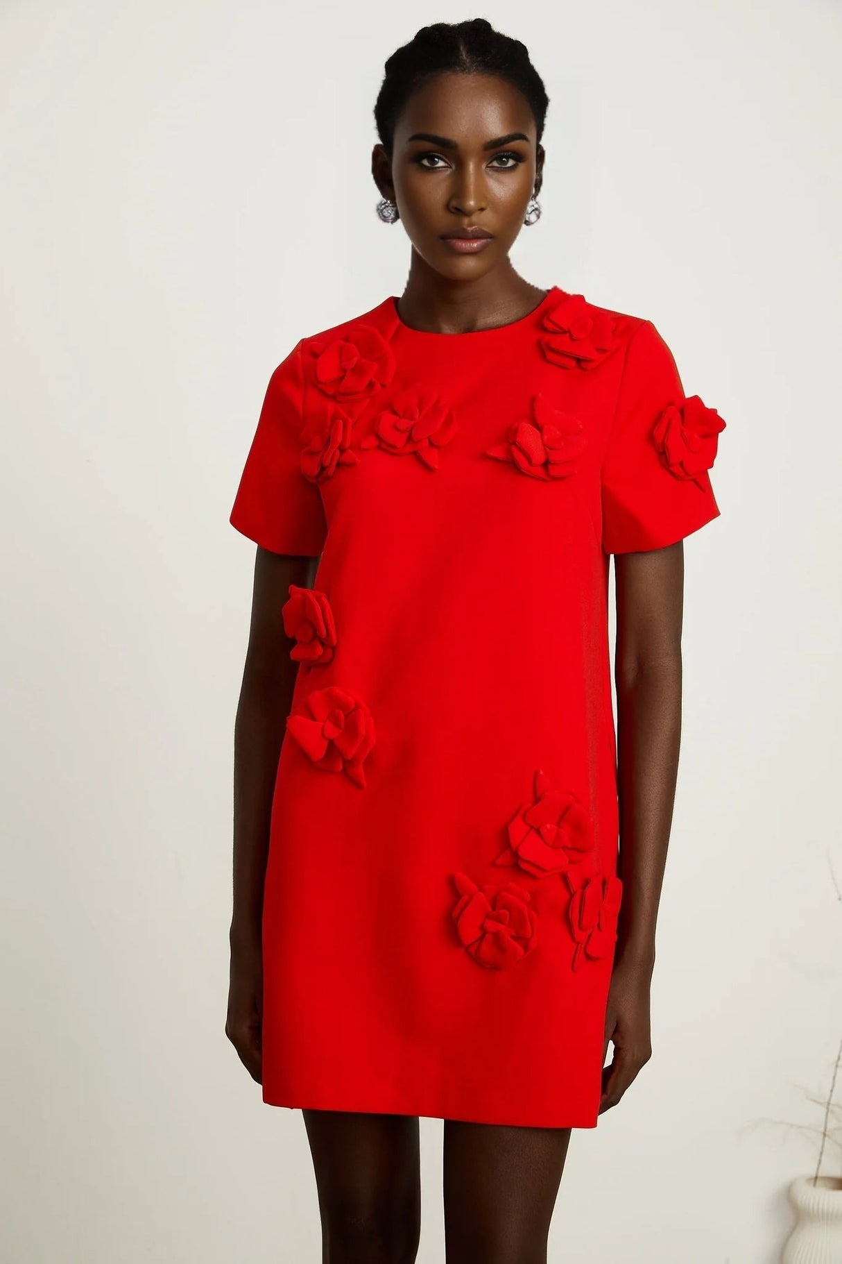 Mackenzie Mini Dress Red Floral Appliqu Short Sleeve Thigh Length