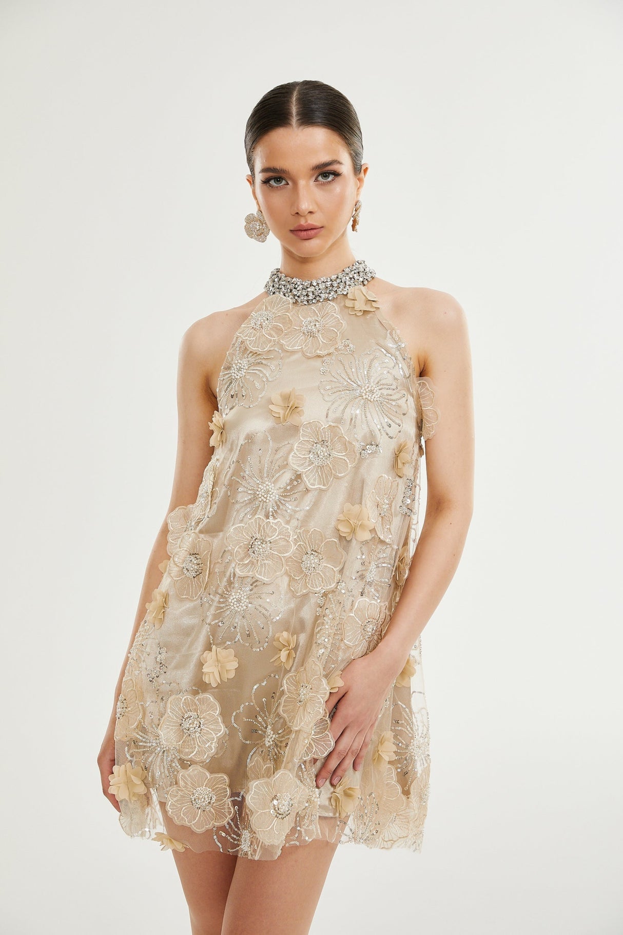 Margherita Mini Dress with Floral Appliqué and Crystal Embellishment