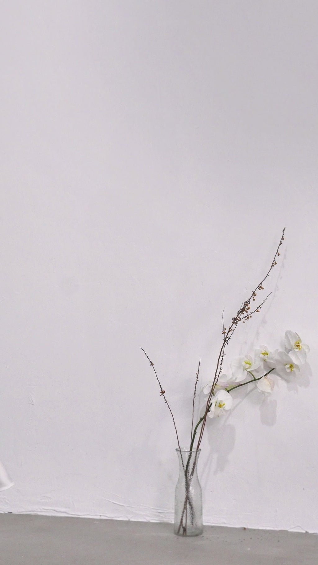 Mary White & Black Contrast Maxi Dress with V - Neck and Puff Sleeves