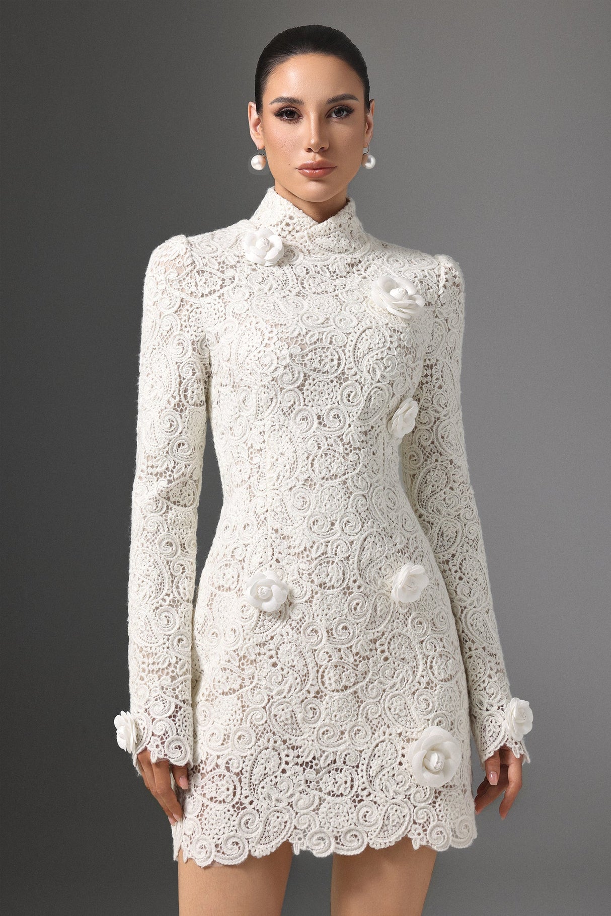 Mattea White Lace Floral Embellished High Neck Bodycon Dress with Long Sleeves and Scalloped Hemline