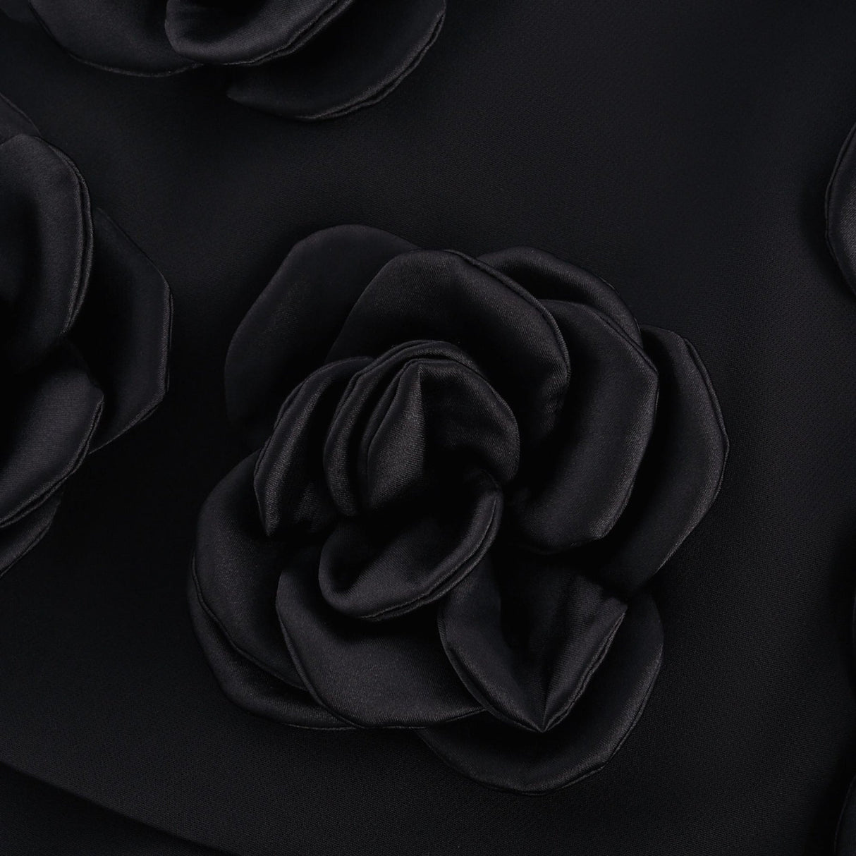 Nalini Black Thigh - Length Shorts With 3D Floral Appliqués