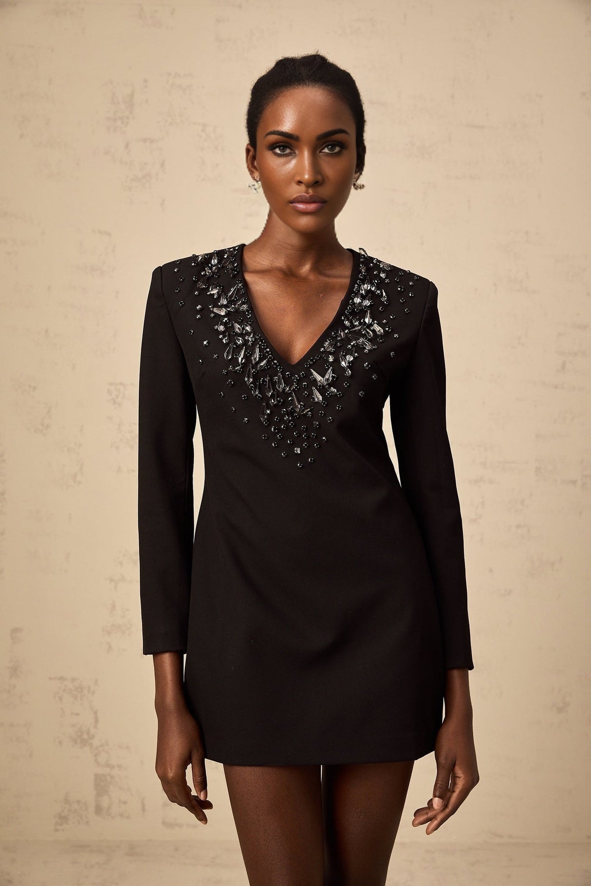 Renata Mini Dress Black Crystal Plunge ALine