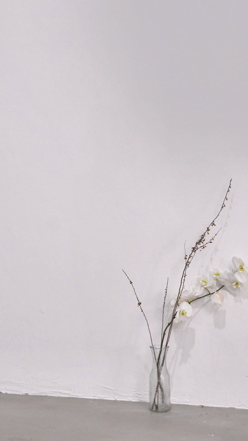 Virginia Maxi Dress - Halter Neck Brown with Crystal Embellishment & Bodycon Fit