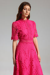 Liana Midi Dress - Stunning Lace Overlay - Feminine Silhouette - High Neckline - Flowy Skirt - Intricate Detailing
