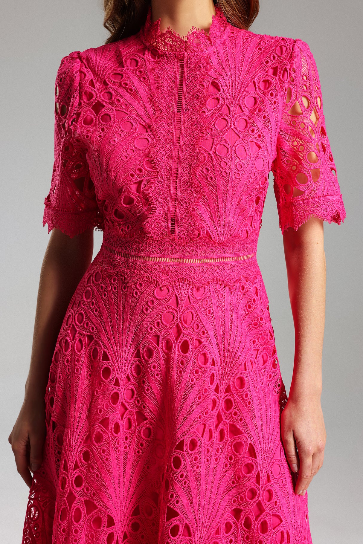 Liana Midi Dress - Stunning Lace Overlay - Feminine Silhouette - High Neckline - Flowy Skirt - Intricate Detailing