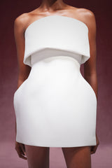 Sofia Mini Dress - Strapless - Sleeveless - Fitted Silhouette - Luxurious Fabric - Versatile Styling