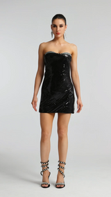 Serafina Strapless Sequin Mini Dress - Spotlight-Worthy - Glamorous Sequin Detailing - Flattering Body-Hugging Fit