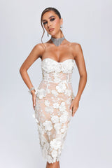 Miranda Midi Dress - Oval Lace Overlay - Strapless Neckline - Floral Detailing - Fitted Silhouette - Sophisticated Midi Length