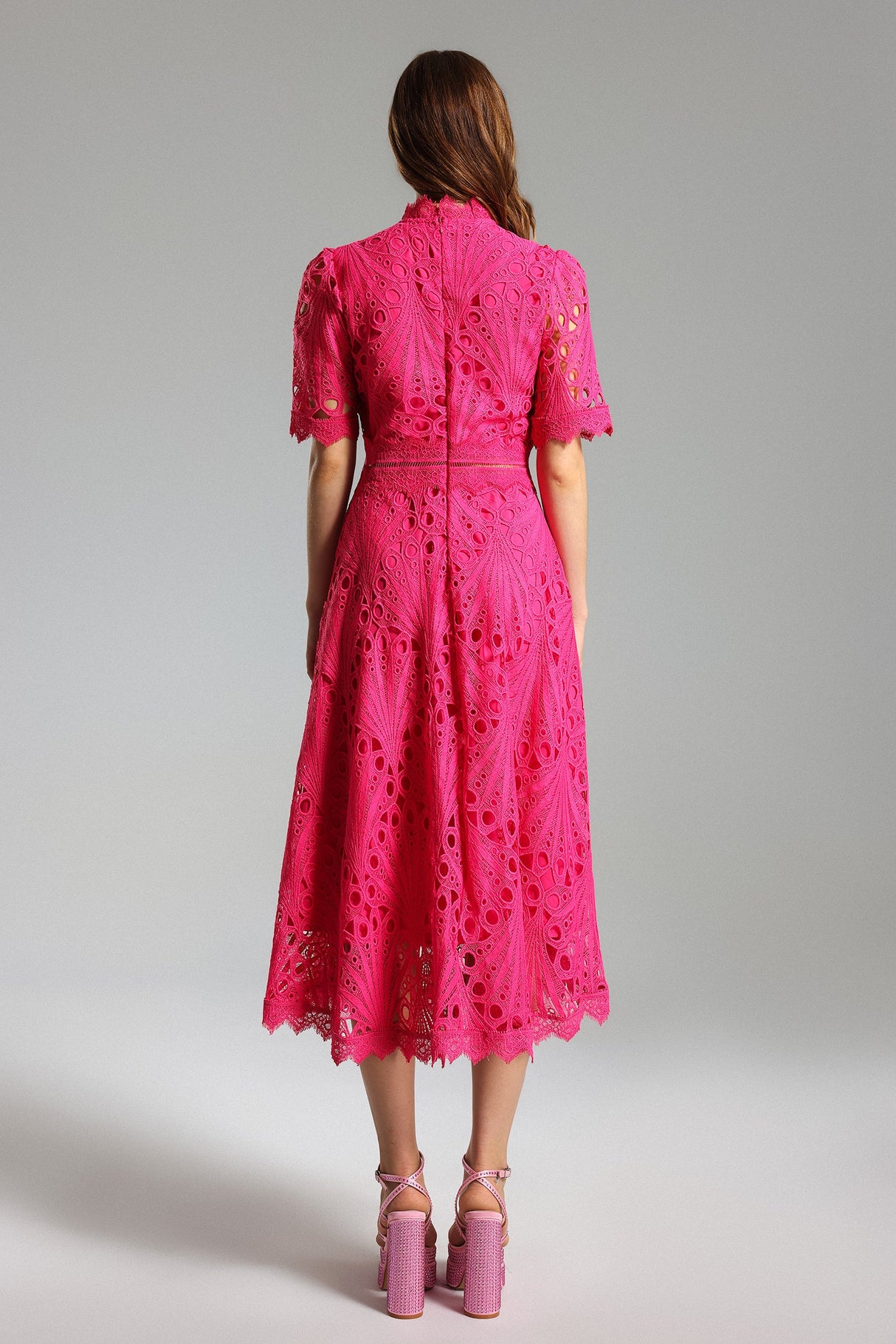 Liana Midi Dress - Stunning Lace Overlay - Feminine Silhouette - High Neckline - Flowy Skirt - Intricate Detailing