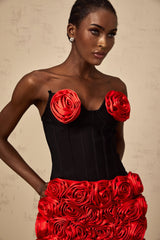 A matching set featuring a red top and skirt with rose appliques named Heloise