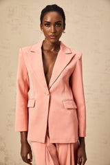 A pink blazer and trouser set with embroidery details and cutouts Blazer features a tailored fit while trousers are slim cut Both pieces have matching floral embroidery and strategic cutout designs for a feminine touch