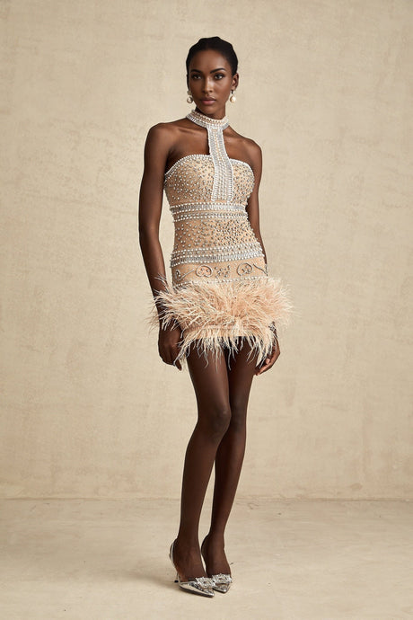 A short black mini dress with crystal embellishments and feather trim around the hem and neckline elegant cocktail attire with luxurious details