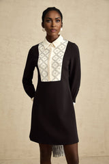 A short sleeveless mini dress with contrasting color accents and embellishments featuring a fitted bodice and flared skirt